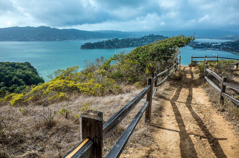 Angel Island Hiking Path with a View of the Bay Area